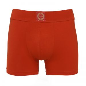 Boxershorts mit Stickerei